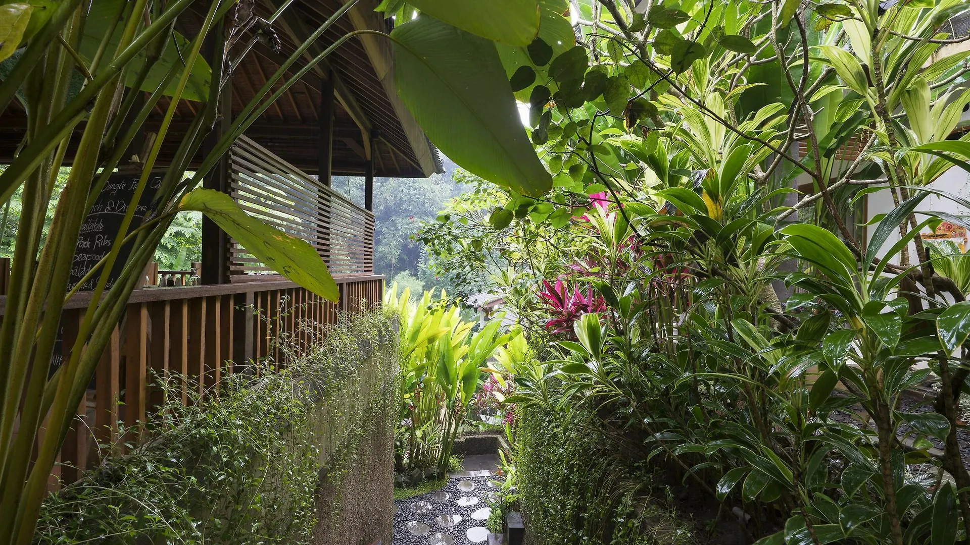 Jungle Haven Resort Central Ubud Indonesia