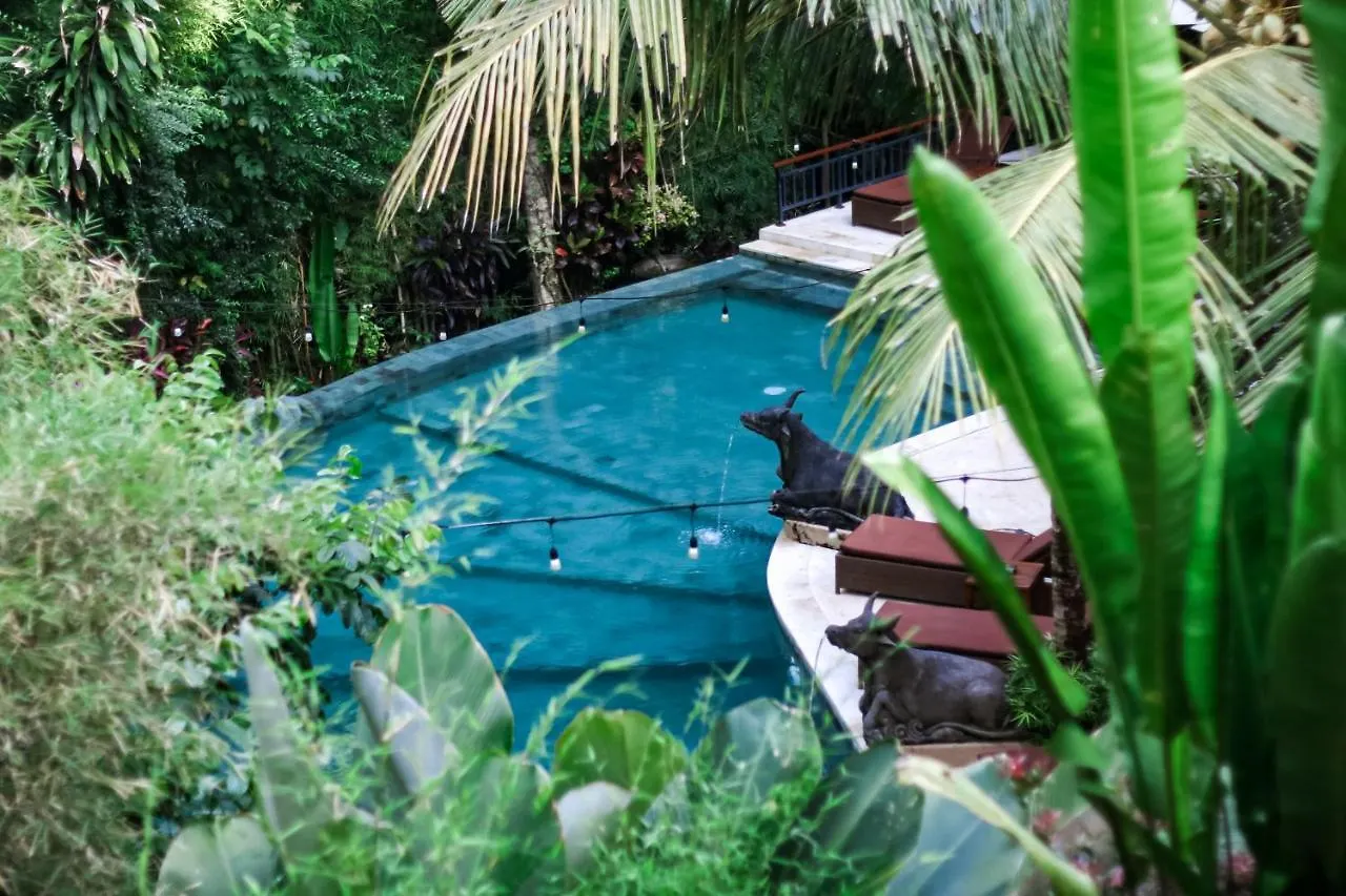 Jungle Haven Resort Central Ubud 3*, Ubud (Bali) Indonesia