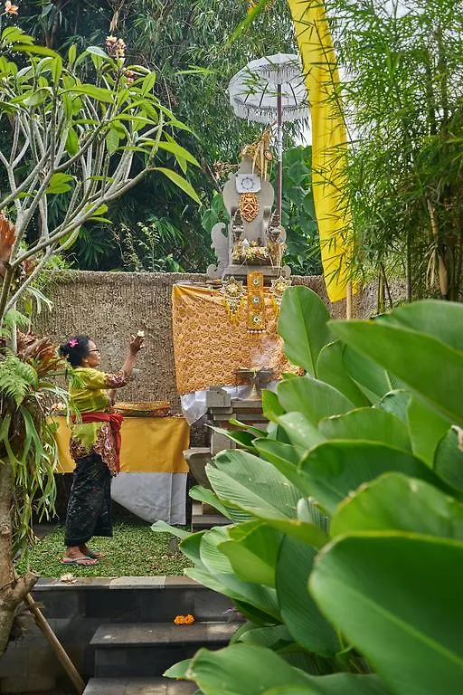 Jungle Haven Resort Central Ubud Guest house