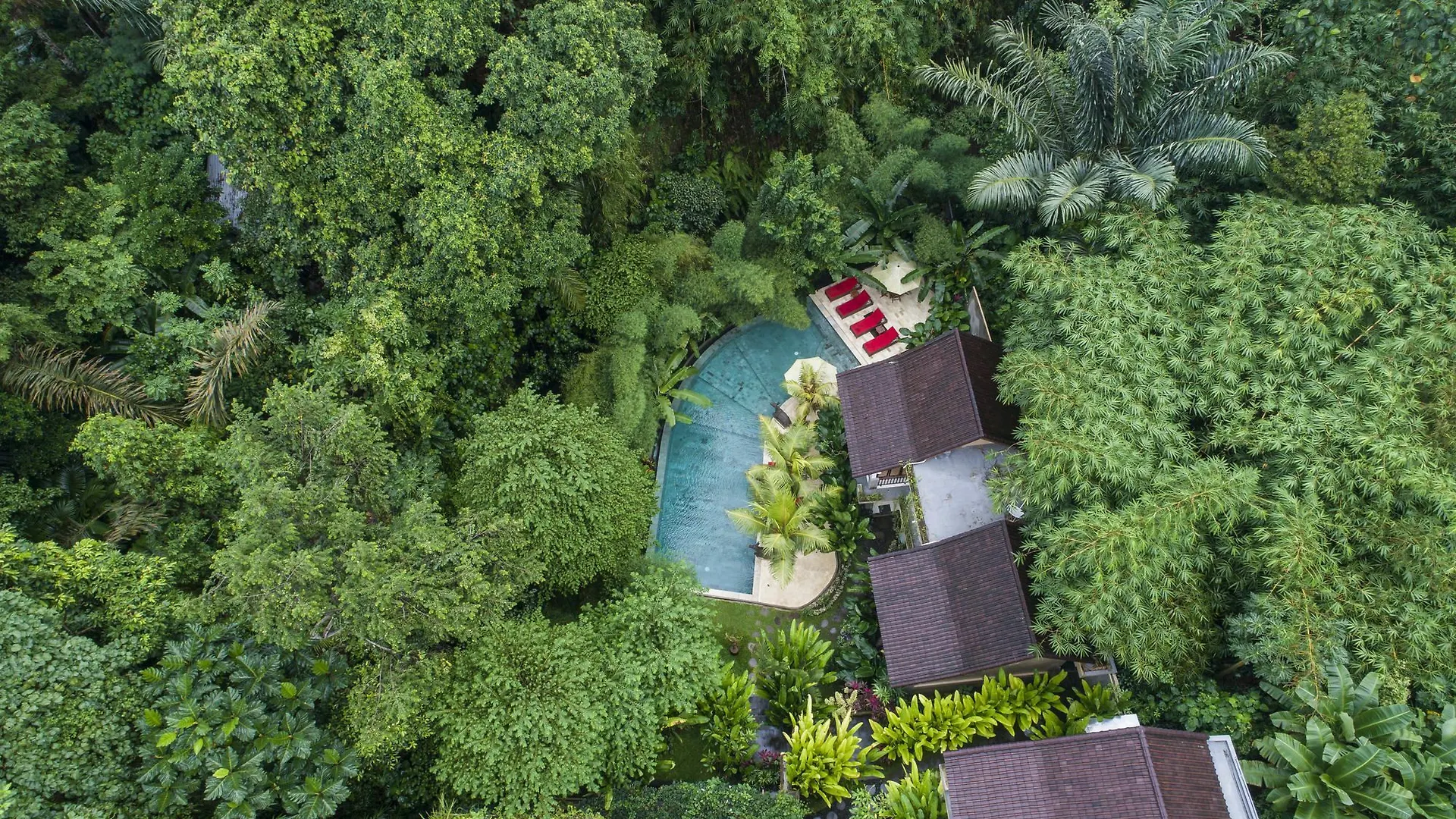 *** Guest house Jungle Haven Resort Central Ubud Indonesia